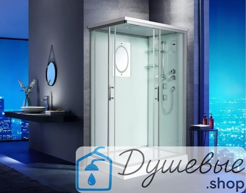 Душевая кабина WeltWasser WW500 LAINE 1204 фото 4