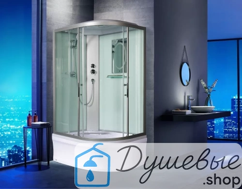 Душевая кабина WeltWasser WW500 HALLE 1202 L фото 4