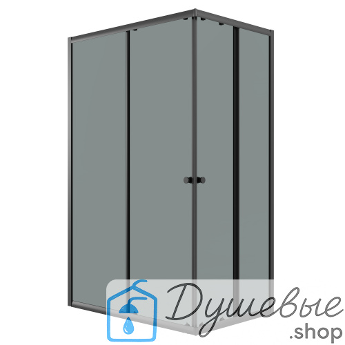 Душевое ограждение Niagara Eco NG-1012-14QT 120х80х190 см