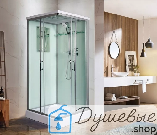 Душевая кабина WeltWasser WW500 LAINE 1002 фото 3