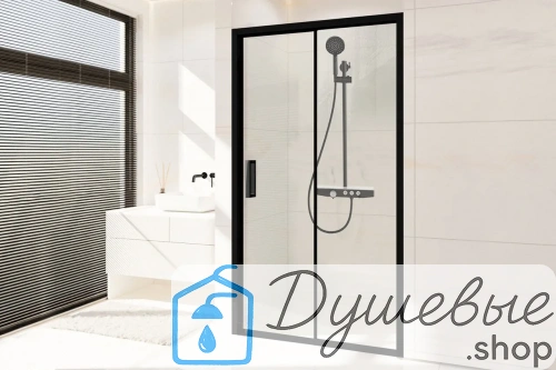 Душевая дверь Royal Bath ACCORD RB HS-T-BL 100x200 прозрачное стекло