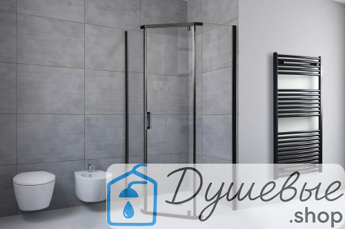 Душевой уголок Royal Bath RB 1090TR-T-BL 90х100х200 прозрачное