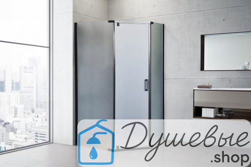 Душевой уголок Royal Bath RB 1285TR-C-BL 85х120х200 матовое фото 3